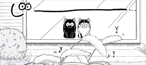 本物の猫じゃらしに興奮する猫ちゃん