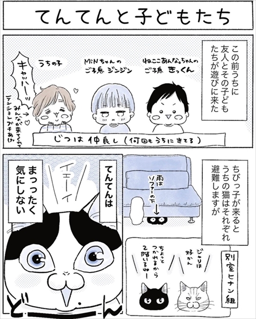 本物の猫じゃらしに興奮する猫ちゃん