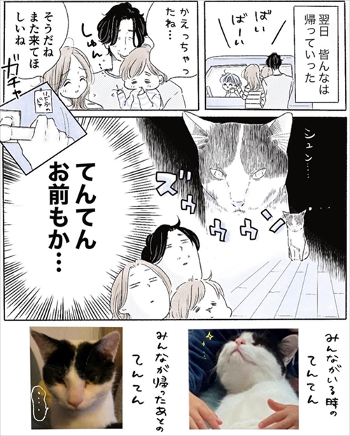 本物の猫じゃらしに興奮する猫ちゃん