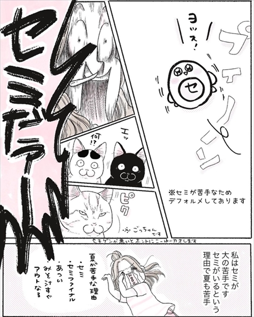 本物の猫じゃらしに興奮する猫ちゃん