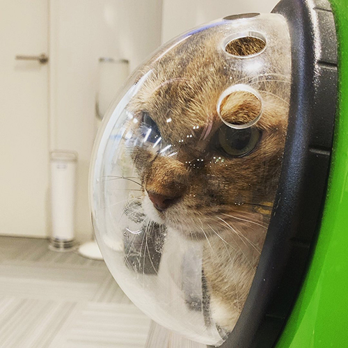 宇宙船まめ次郎さん