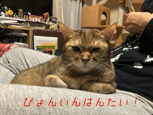 病院反対まめ次郎さん