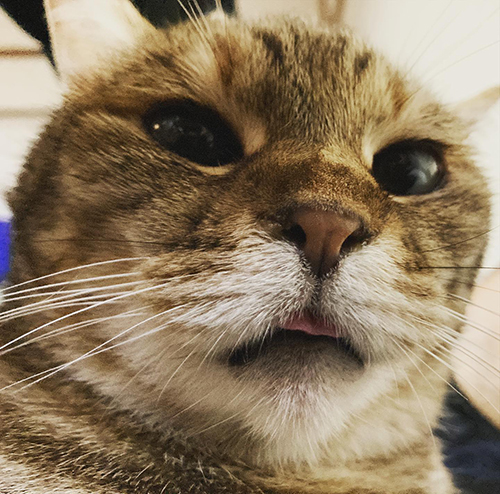 しまい忘れまめ次郎さん