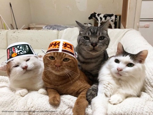 おしくらまんじゅう
