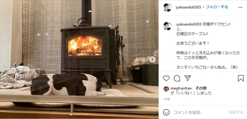 安藤優子 自宅 豪邸 暖炉 愛犬 インスタ