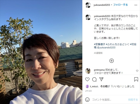 安藤優子 自宅 豪邸 暖炉 愛犬 インスタ