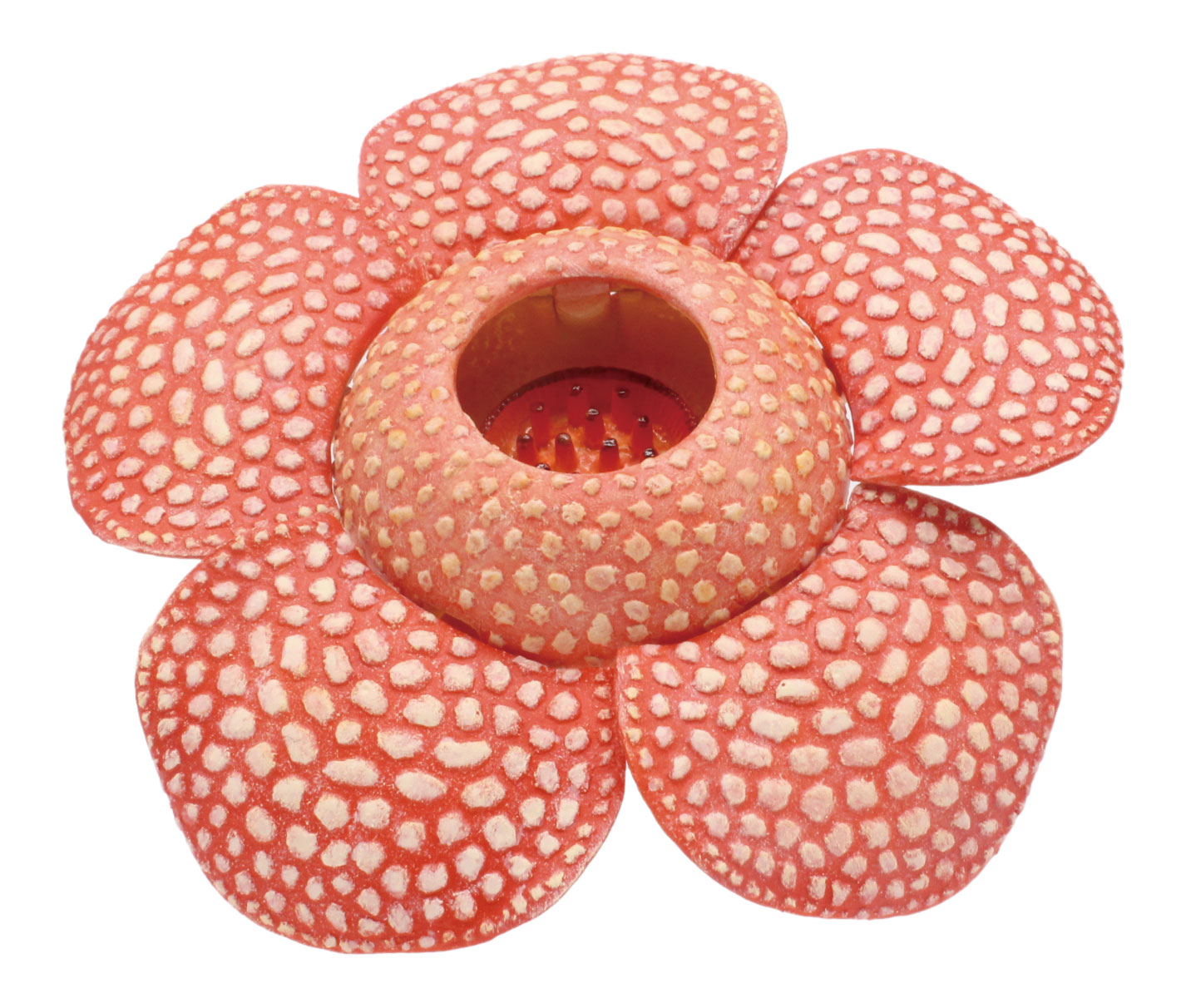 ラフレシアとウツボカズラがフィギュアに！　花弁やフタが動くギミック付き