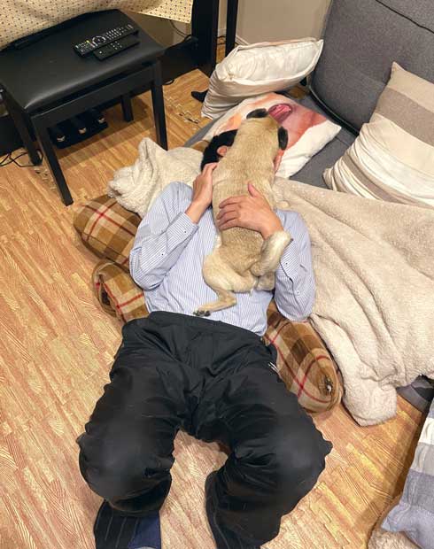 柴犬 好き パグ 仲良し 兄妹 求愛 スルー