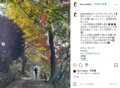 原日出子 長男 紅葉 ウオーキング