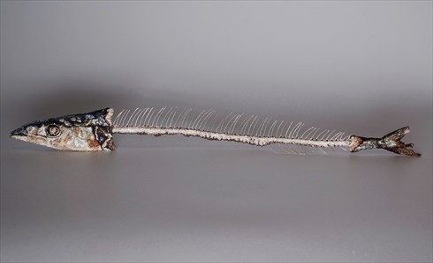 フレンチノット 刺繍 さんま 塩焼き