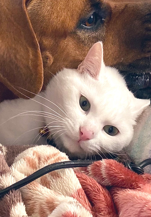 ソウくんアップ