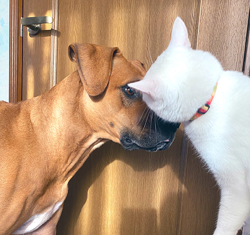 遊んであげるソウくん