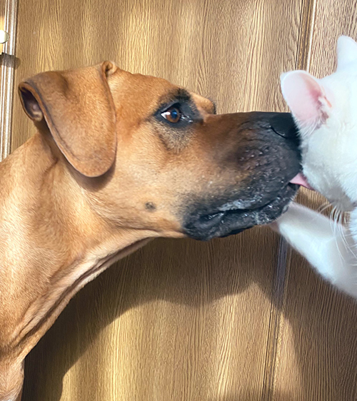 遊んでもらうアギトちゃん