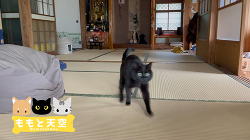 ママさんにかけよる天くん