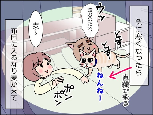 「1468話 急に寒くなったら」