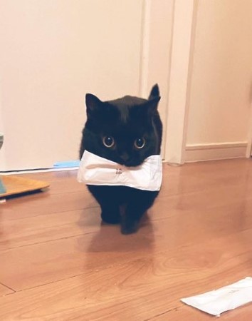 おすすめ