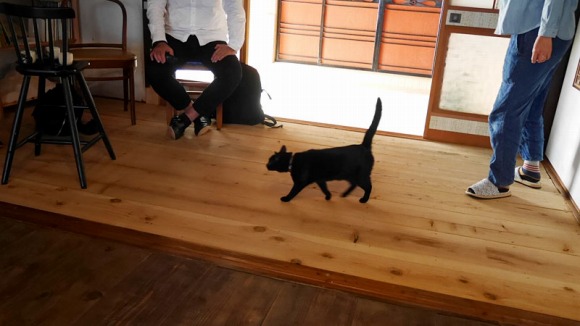 【ねとらぼPR】 西条市 移住体験記事 ／ 移住 地方移住 移住体験 田舎暮らし Uターン 四国 愛媛