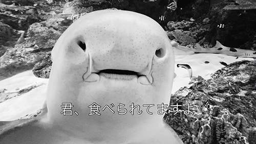 食べられてますよ