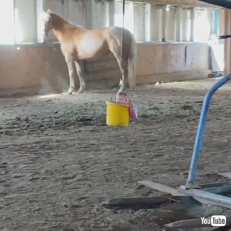 「Happy Baby in a Bucket || ViralHog」