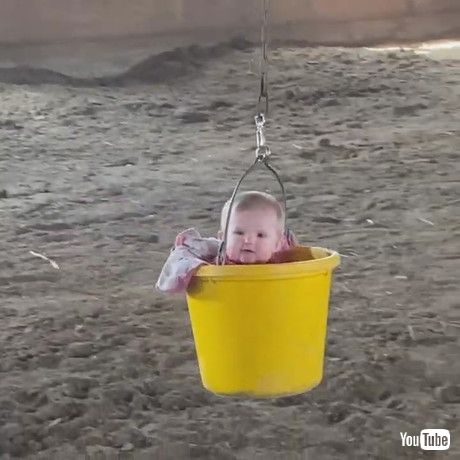 「Happy Baby in a Bucket || ViralHog」