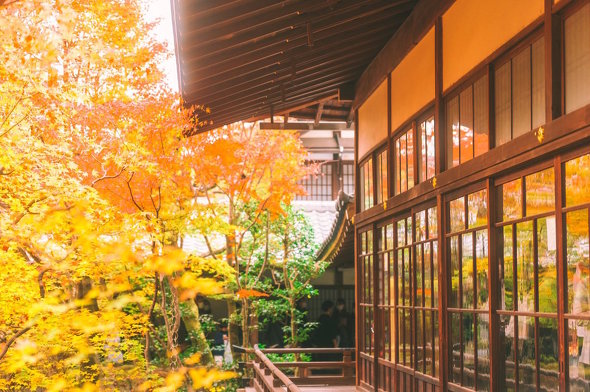 永観堂 松島えぬ