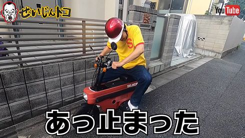 せいじんトコ