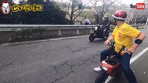 せいじんトコ