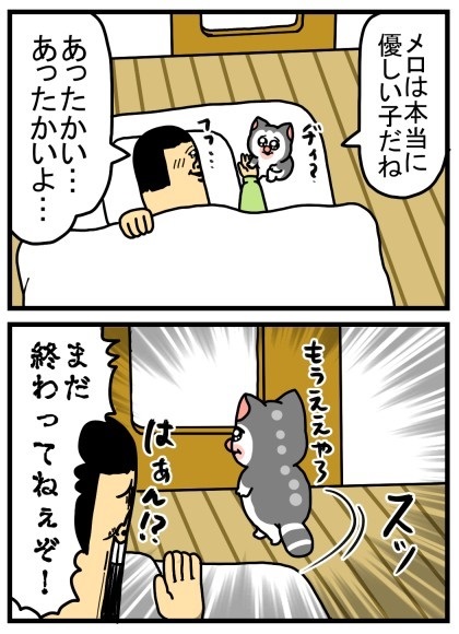優しさ成分が多めに配合された猫ちゃん