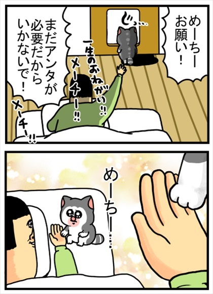 優しさ成分が多めに配合された猫ちゃん