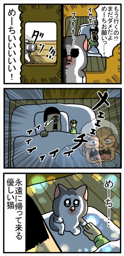 優しさ成分が多めに配合された猫ちゃん