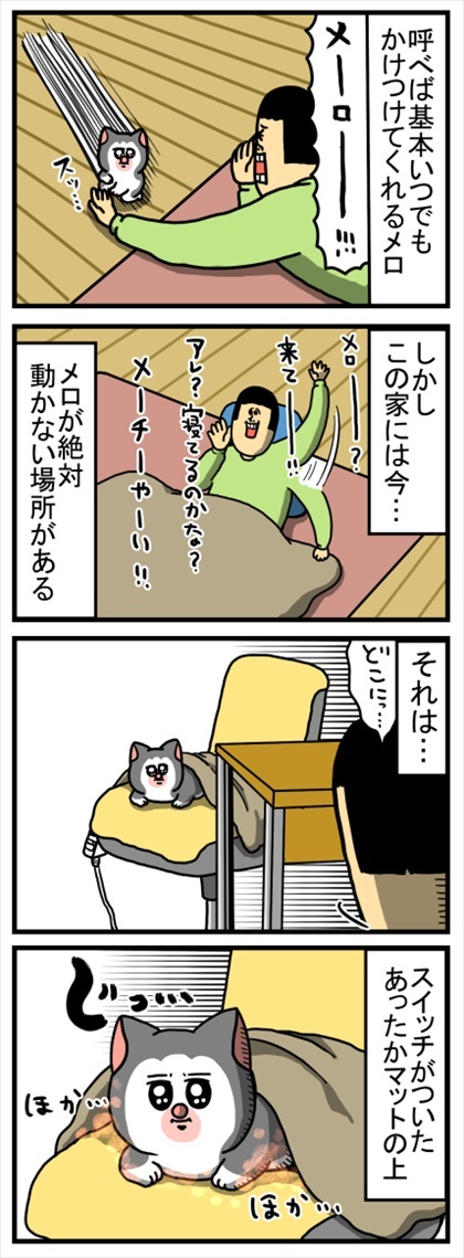 優しさ成分が多めに配合された猫ちゃん