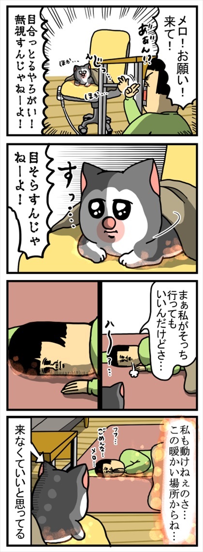 優しさ成分が多めに配合された猫ちゃん