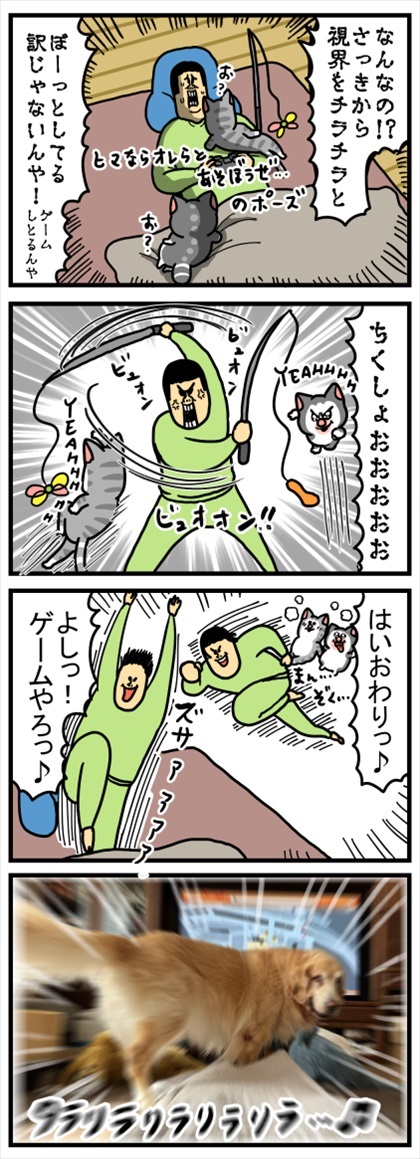 優しさ成分が多めに配合された猫ちゃん