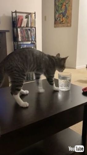 Track Before Drinking Water