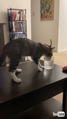 Track Before Drinking Water