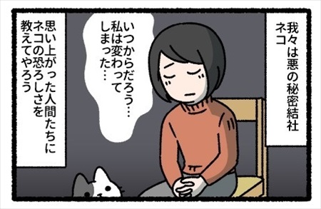 猫を飼って変わってしまったこと