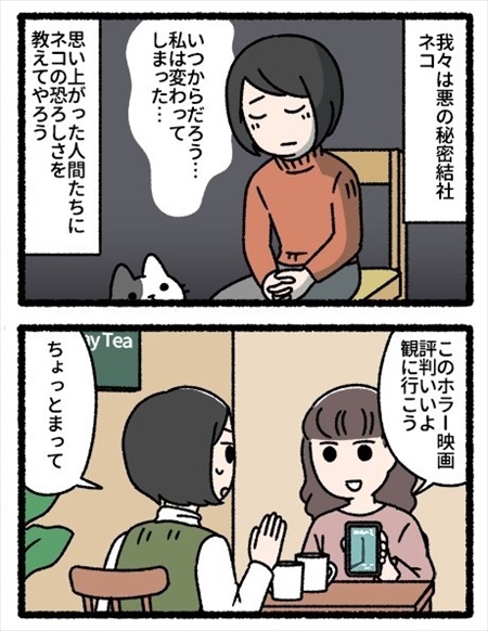 猫を飼って変わってしまったこと