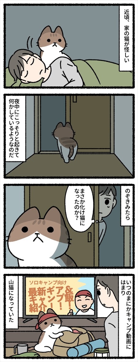 猫を飼って変わってしまったこと