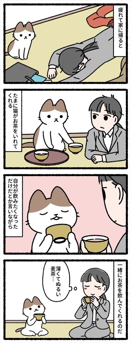 猫を飼って変わってしまったこと