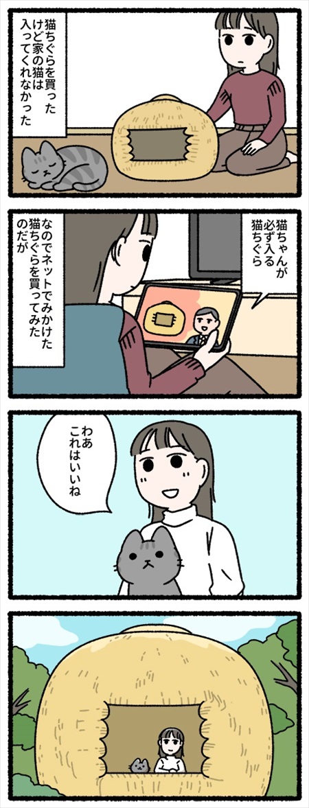 猫を飼って変わってしまったこと