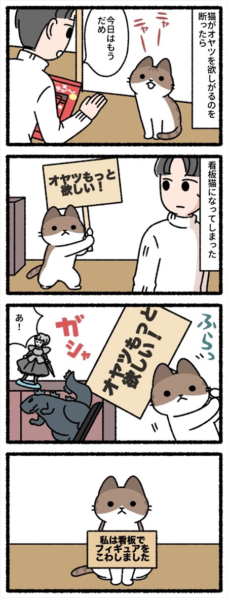 猫を飼って変わってしまったこと