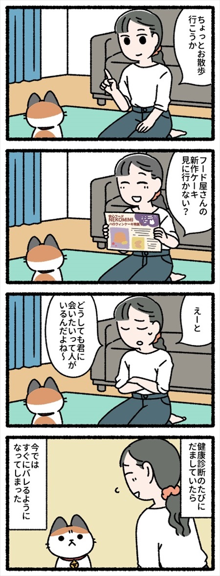 猫を飼って変わってしまったこと