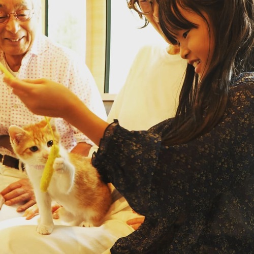 ピュリナ譲渡会