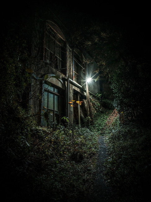 猫 路地裏 異世界 静岡 廃墟 ネコ 不思議 ホラー