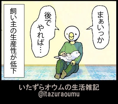 タイハクオウム　オウム　漫画　鳥　かわいい　甘えん坊