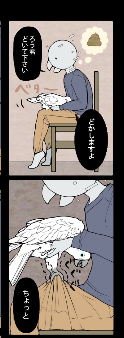 タイハクオウム　オウム　漫画　鳥　かわいい　甘えん坊