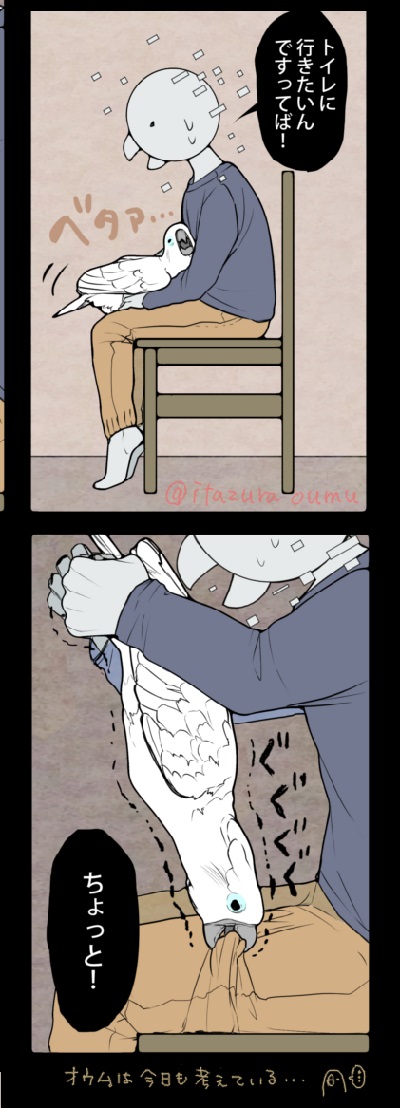 タイハクオウム　オウム　漫画　鳥　かわいい　甘えん坊