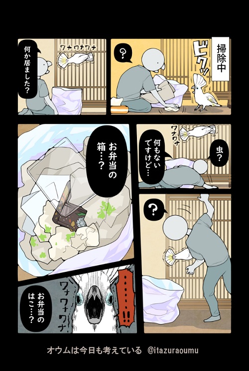 タイハクオウム　オウム　漫画　鳥　かわいい　甘えん坊