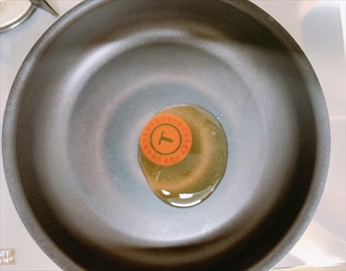 鮭ごはん ごはん ねとめし