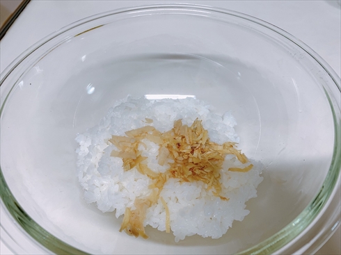 鮭ごはん ごはん ねとめし